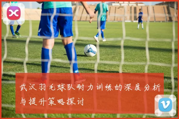 武汉羽毛球队耐力训练的深度分析与提升策略探讨