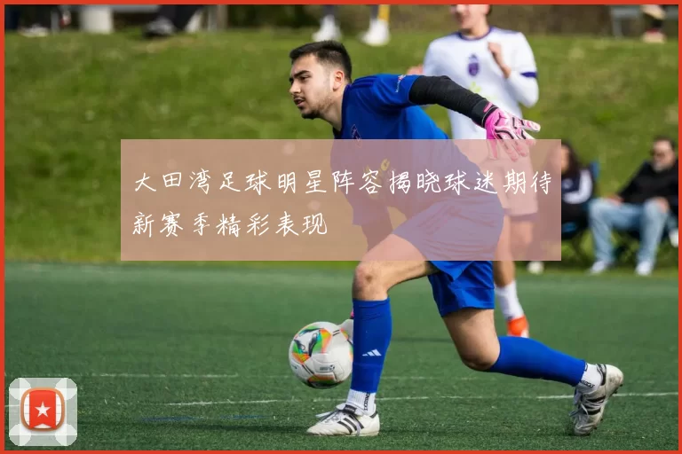 大田湾足球明星阵容揭晓球迷期待新赛季精彩表现