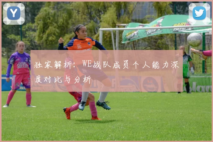 独家解析：WE战队成员个人能力深度对比与分析