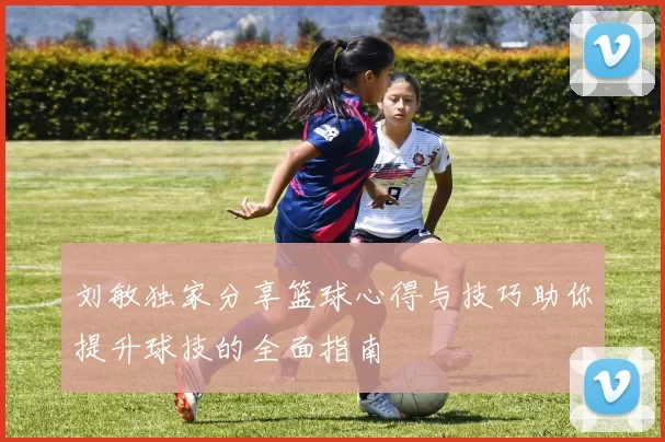 刘敏独家分享篮球心得与技巧助你提升球技的全面指南
