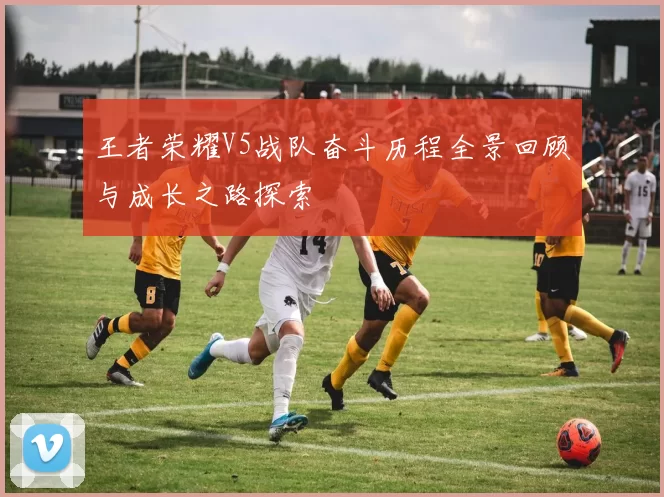 王者荣耀V5战队奋斗历程全景回顾与成长之路探索
