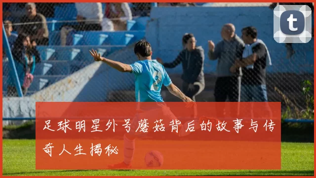 足球明星外号蘑菇背后的故事与传奇人生揭秘