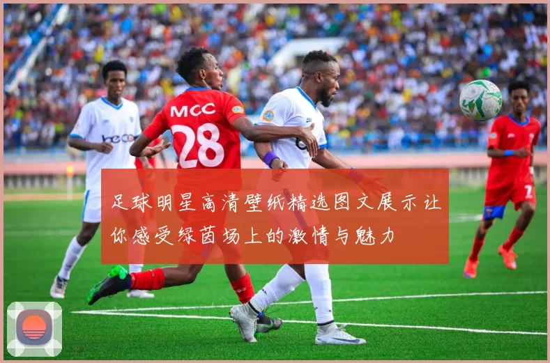 足球明星高清壁纸精选图文展示让你感受绿茵场上的激情与魅力