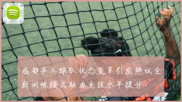 成都乒乓球队状态变革引发热议全新训练模式助力竞技水平提升